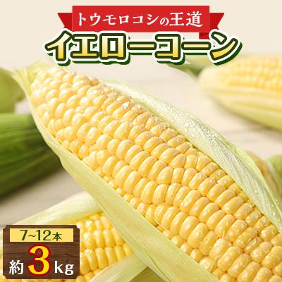 ふるさと納税 高松市 瀬戸内イエローコーン 約3kg[6月上旬〜7月中旬]