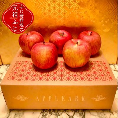 ふるさと納税 藤崎町 葉とらずサンふじ 大玉 8個(約3kg) ご家庭用 元祖ふじ|y-sf|03