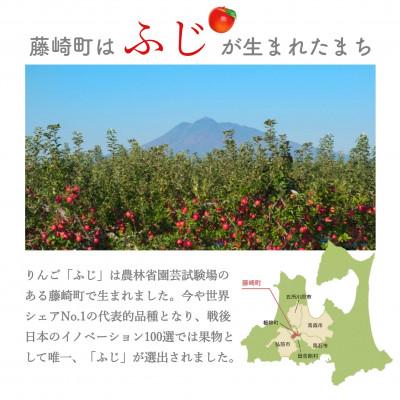 ふるさと納税 藤崎町 葉とらずサンふじ 大玉 8個(約3kg) ご家庭用 元祖ふじ|y-sf|04