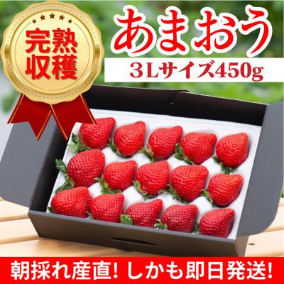 ふるさと納税 大川市 [完熟即配]完熟あまおう 3Lサイズ 450g [ギフト専門農家直送!]