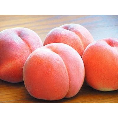ふるさと納税 高松市 【先行受付2023年】香川の桃 化粧箱 約1.8kg|y-sf|02