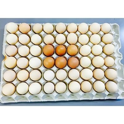 ふるさと納税 富士川町 初たまご プレミアムひまわりたまごSサイズ54個(破卵補償10個含)