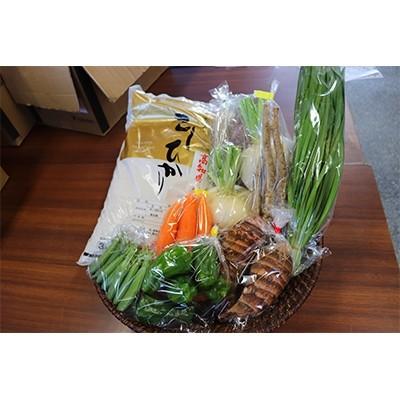 ふるさと納税 須崎市 とれたて新鮮!旬の朝採れ野菜7品目と高知県産コシヒカリ3kgセット