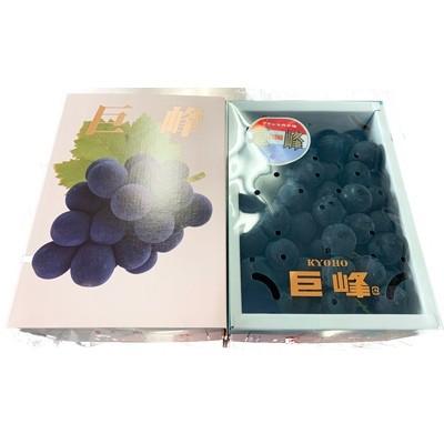 ふるさと納税 和歌山市 【和歌山市】紀州和歌山産巨峰約800g×2セット|y-sf|03