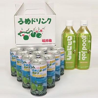 ふるさと納税 若狭町 若狭の梅飲料12本セット(梅ドリンク:10本、はちみつ梅ウォーターグッジョブ:2本)