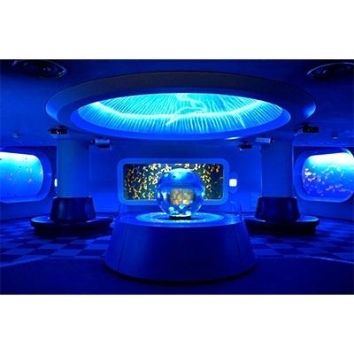 ふるさと納税 藤沢市 新江ノ島水族館　年間パスポート引換券　大人 1枚 