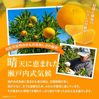ふるさと納税 みかん 高松市 【先行受付2026年】瀬戸内温州みかん 小粒