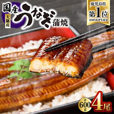 ふるさと納税 うなぎ 鹿屋市 鹿児島県大隅産うなぎ蒲焼4尾(計600g)725-3