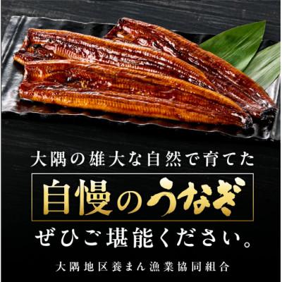 ふるさと納税 うなぎ 鹿屋市 鹿児島県大隅産うなぎ蒲焼4尾(計600g)725