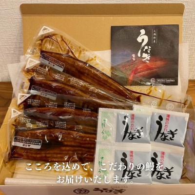 ふるさと納税 鹿屋市 鹿児島県大隅産うなぎ蒲焼4尾(計600g)725-3