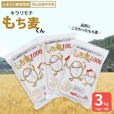 ふるさと納税 美作市 美作市産キラリモチ　もち麦くん　3kg