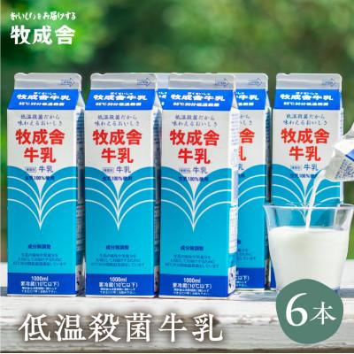 ふるさと納税 飛騨市 [牧成舎]明治30年創業の牛乳屋、こだわり低温殺菌牛乳6本