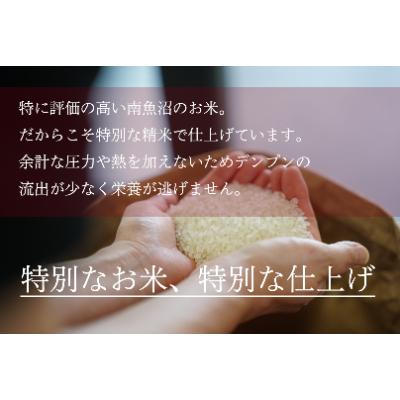 ふるさと納税 南魚沼市 精米5kg 2 人気カラーの 南魚沼産コシヒカリ