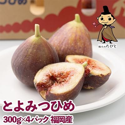 ふるさと納税 太宰府市 【太宰府】福岡限定!ブランドいちじく「とよみつひめ」約300g×4パック