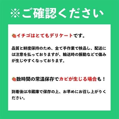 ふるさと納税 太宰府市 フルーツ専門店が選んだ「あまおう苺」春6パック(太宰府市)｜y-sf｜04