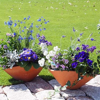 アイテムID:394198の画像1枚目