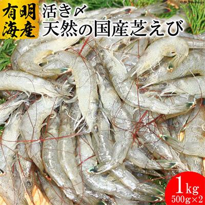 ふるさと納税 島原市 [有明海産] 活き〆 天然小エビ1kg (500g×2)