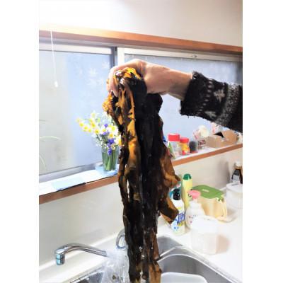 ふるさと納税 湯浅町 紀州衣奈産乾燥わかめ 150g×5パック(2022年産)|y-sf|04
