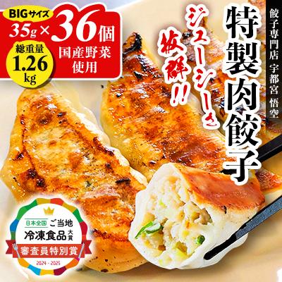 ふるさと納税 宇都宮市 餃子専門店 宇都宮悟空 特製肉餃子36個入