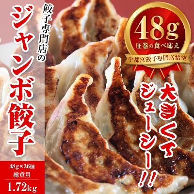 ふるさと納税 宇都宮市 餃子専門店 宇都宮悟空 ジャンボ餃子36個入