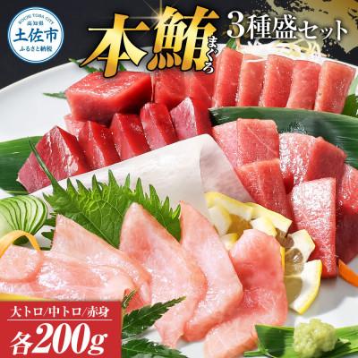 ふるさと納税 土佐市 本鮪 大トロ・中トロ・赤身 各200g 本マグロ3種盛セット