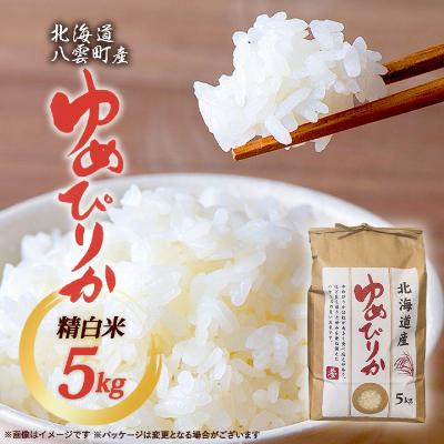 ふるさと納税 八雲町 [北海道八雲町熊石産]厳選ゆめぴりか5kg(精白米)