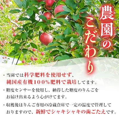 ふるさと納税 青森市 【りんご品評会最高賞】「サンふじ」約3kg・糖度