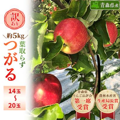 ふるさと納税 青森市 「葉とらずつがる」約5kg・訳あり家庭用りんご