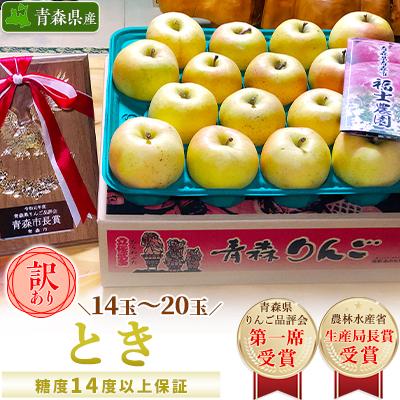 ふるさと納税 青森市 「とき」約5kg・糖度14度以上保証・訳あり家庭用りんご 青森市長賞受賞
