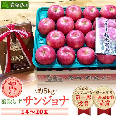 ふるさと納税 青森市 「葉とらずサンジョナ」約5kg・訳あり家庭用りんご 青森市長賞受賞