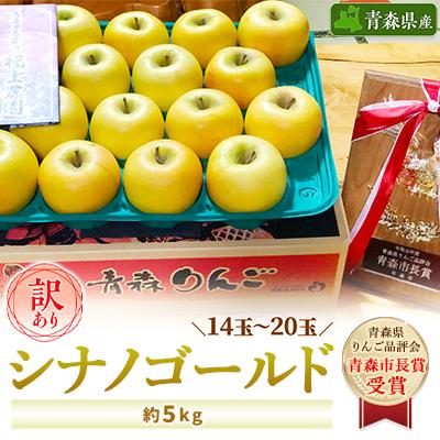 ふるさと納税 青森市 「シナノゴールド」5kg・訳あり家庭用りんご 青森市長賞受賞