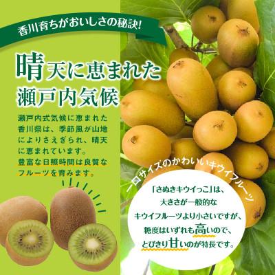 ふるさと納税 高松市 【先行受付2026年】さぬきキウイっこ　約5kg_1