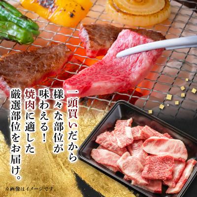 ふるさと納税 養老町 【飛騨牛】切り落し焼肉用【400g/岐阜県産】