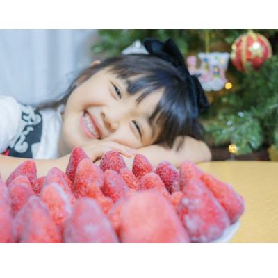 ふるさと納税 島田市 ありすふぁーむ 渡瀬の「きらぴ香」完熟冷凍いちご約1kg