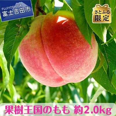 ふるさと納税 富士吉田市 [さとふる限定]果樹王国 やまなし の桃 約2kg(4〜7玉)
