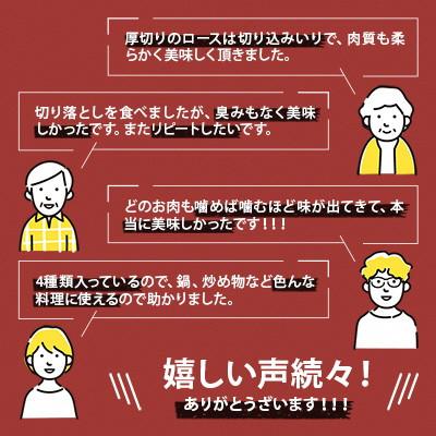 ふるさと納税 西尾市 「三河おいんく豚」4種食べ比べセット2kg・T012-15｜y-sf｜04