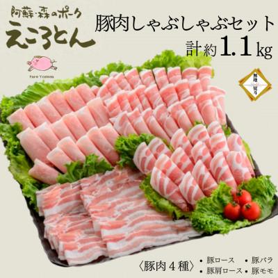 ふるさと納税 大津町 [のし付]えころとん・豚肉(4種)計約1.1kg・豚肉しゃぶしゃぶセット[ファームヨシダ]