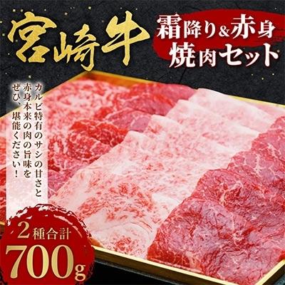 ふるさと納税 えびの市 宮崎牛霜降り&赤身焼肉セット700g｜y-sf｜02