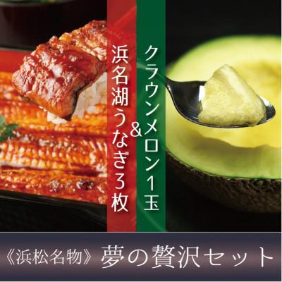 ふるさと納税 浜松市 浜名湖うなぎ長蒲焼 3枚&amp;クラウンメロン 中玉1玉