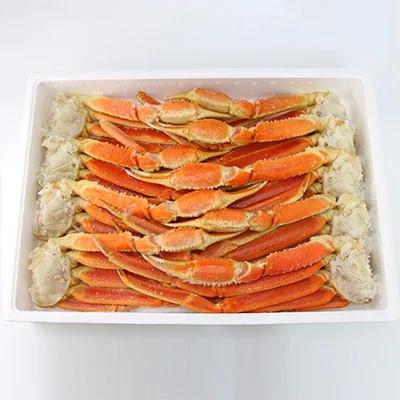 ふるさと納税 阪南市 ボイルずわい蟹 4Lサイズ 3.0kg(7〜9肩)[お中元・お盆にもオススメ]