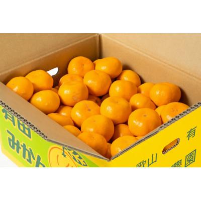 ふるさと納税 湯浅町 【農園直送】完熟 有田みかん 10kg ご家庭用