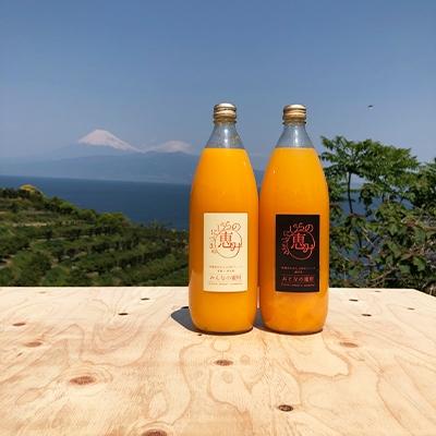 ふるさと納税 沼津市 みんなの蜜柑ジュース・大人の蜜柑ジュース各1本セット(1000ml×2)