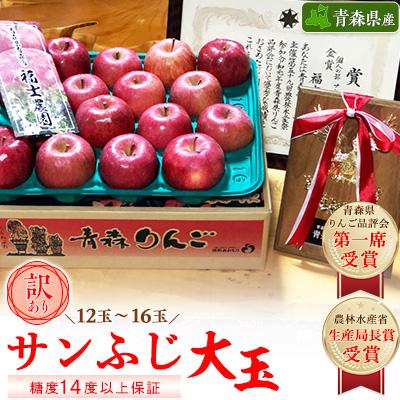 ふるさと納税 青森市 [りんご品評会最高賞]大玉 約5kg 糖度14度以上保証 訳あり 家庭用 りんご 「サンふじ」