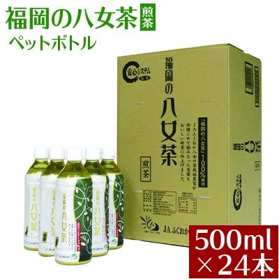 ふるさと納税 東峰村 福岡の八女茶 煎茶ペットボトル 500ml×24本