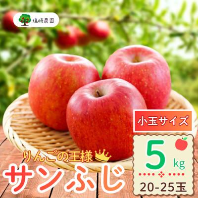 ふるさと納税 飯山市 [先行予約]家庭用 サンふじ [小玉] 約5kg (20〜25個)[出荷:2025年12月中旬〜]