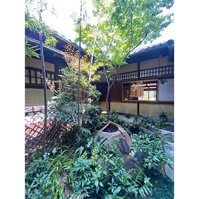 ✨美品✨ ふるさと納税 岸和田市 五風荘　季節会席ペア食事券 【BCD8934859294】(32560円)