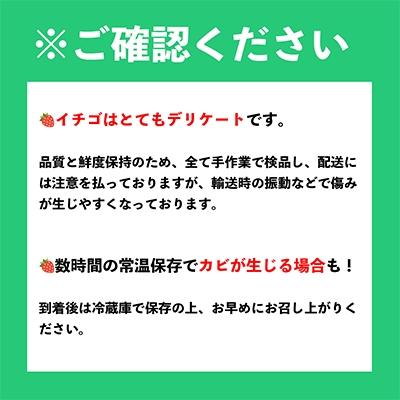 ふるさと納税 春日市 【春日】さとふる限定!かすがくん&あすかちゃんシール付・フルーツ専門店が選ぶ「あまおう苺」春4パック｜y-sf｜04