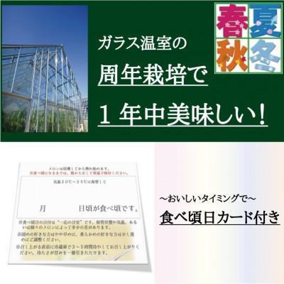 ふるさと納税 浜松市 【通年出荷】クラウンメロン(白等級)3玉入　ギフト箱入り 浜松市