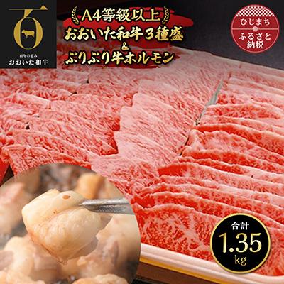 ふるさと納税 日出町 おおいた和牛3種盛&amp;ぷりぷり牛ホルモン(合計1.3kg) 焼くだけで本格焼き肉の味