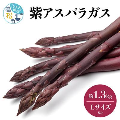 ふるさと納税 高松市 [先行受付2024年]貴重で甘みが強い! 紫アスパラガス(Lサイズ以上) 約1.3kg